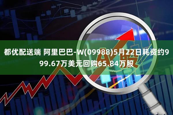 都优配送端 阿里巴巴-W(09988)5月22日耗资约999.67万美元回购65.84万股