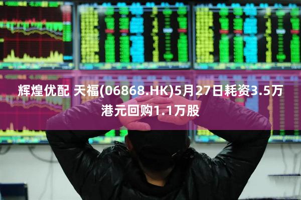 辉煌优配 天福(06868.HK)5月27日耗资3.5万港元回购1.1万股