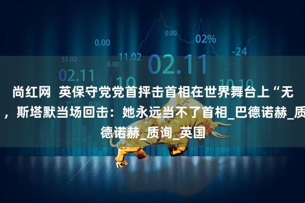 尚红网  英保守党党首抨击首相在世界舞台上“无关紧要”，斯塔默当场回击：她永远当不了首相_巴德诺赫_质询_英国