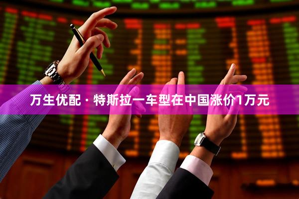 万生优配 · 特斯拉一车型在中国涨价1万元