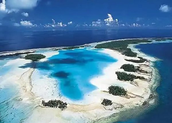 鼎配配资 养宠物治愈孤独心？猫狗竟成家庭粘合剂？