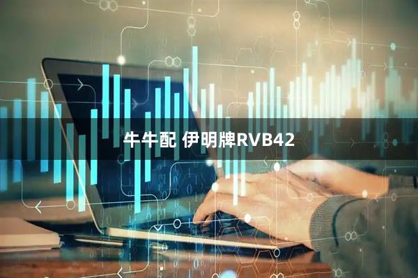 牛牛配 伊明牌RVB42