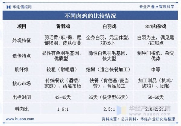 壹资网 2025年中国黄羽鸡行业产业链、竞争格局及重点企业分析