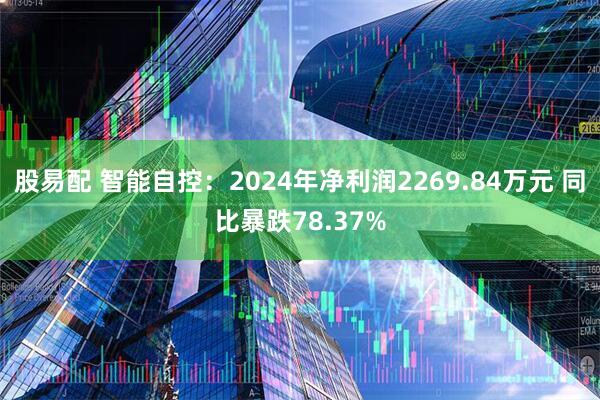 股易配 智能自控：2024年净利润2269.84万元 同比暴跌78.37%